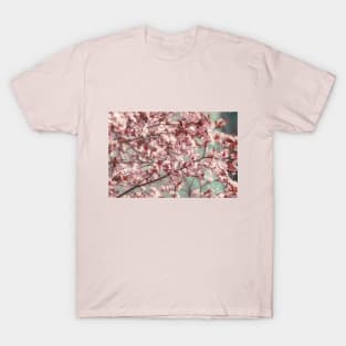 Cherry Blossom Impression T-Shirt